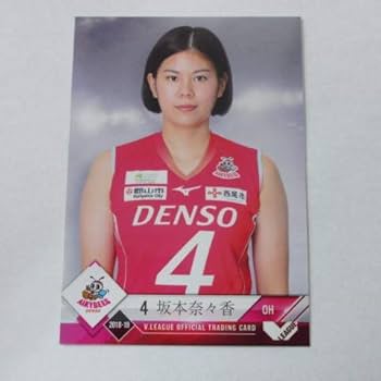 女子バレーデンソー選手実使用ユニフォーム 選手 – デンソーエアリービーズ／バレーボール／Vリーグ／女子
